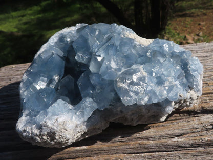 Raw Gorgeous Blue Celestite Geode XL