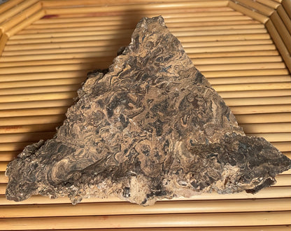 Raw Stromatolite Chunk