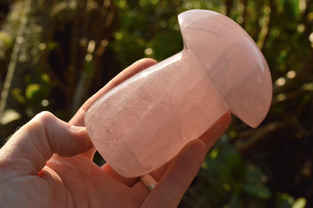 Polished Natural Rose Quartz Mushroom