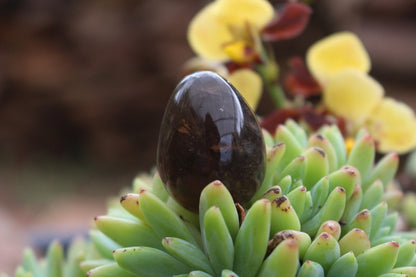 Polished Natural Smokey Quartz Eggs