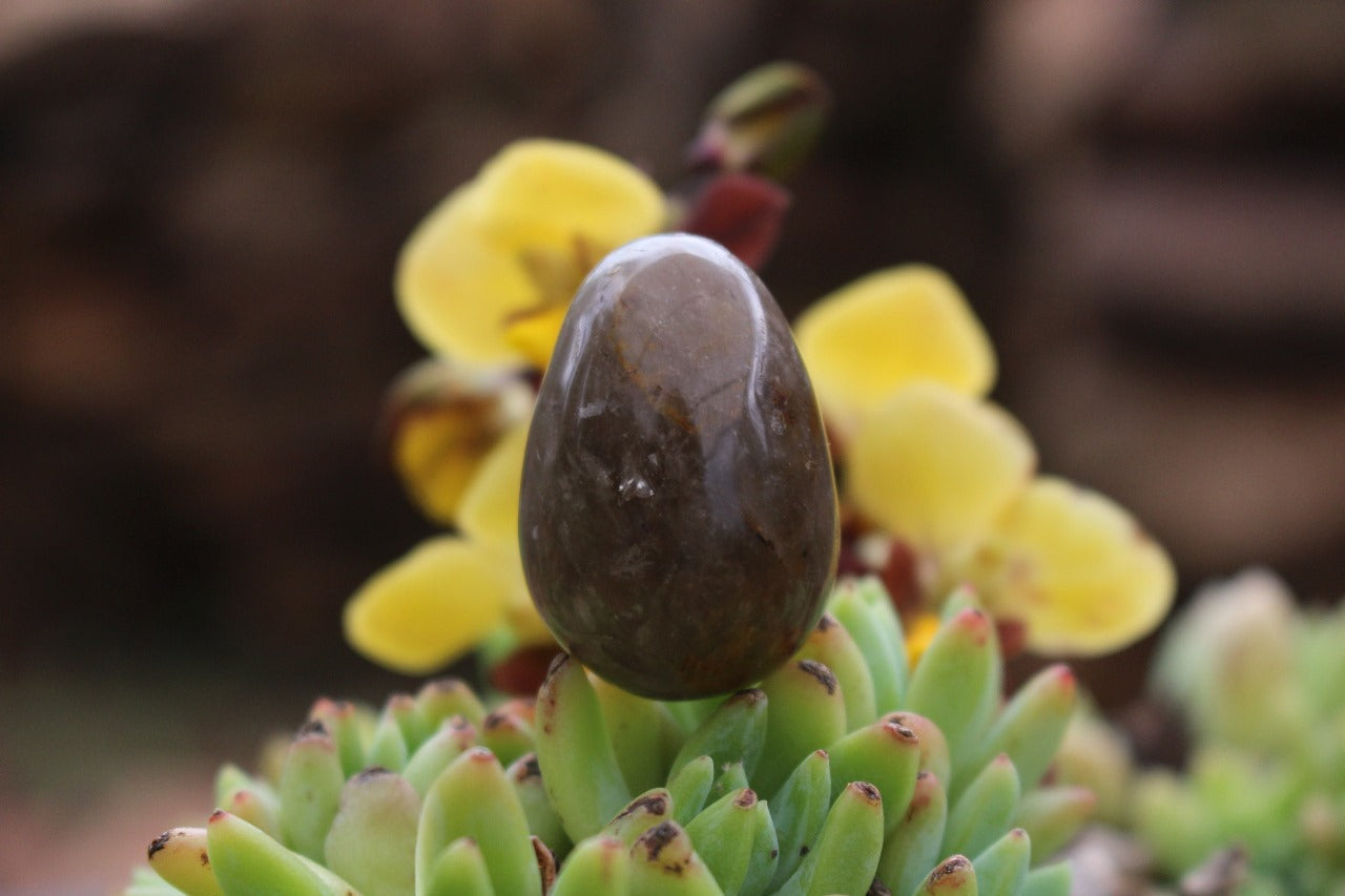 Polished Natural Smokey Quartz Eggs