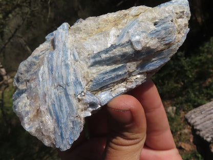 Raw Blue Kyanite