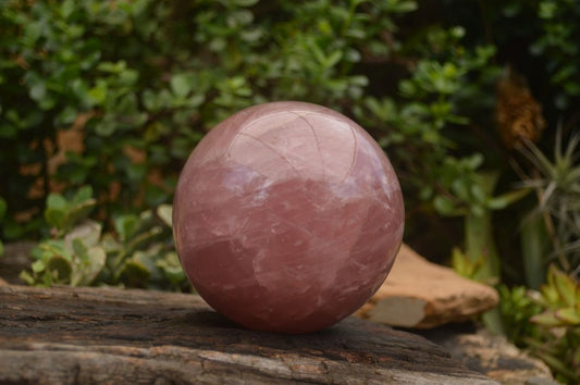 Polished Natural Rose Quartz Spheres