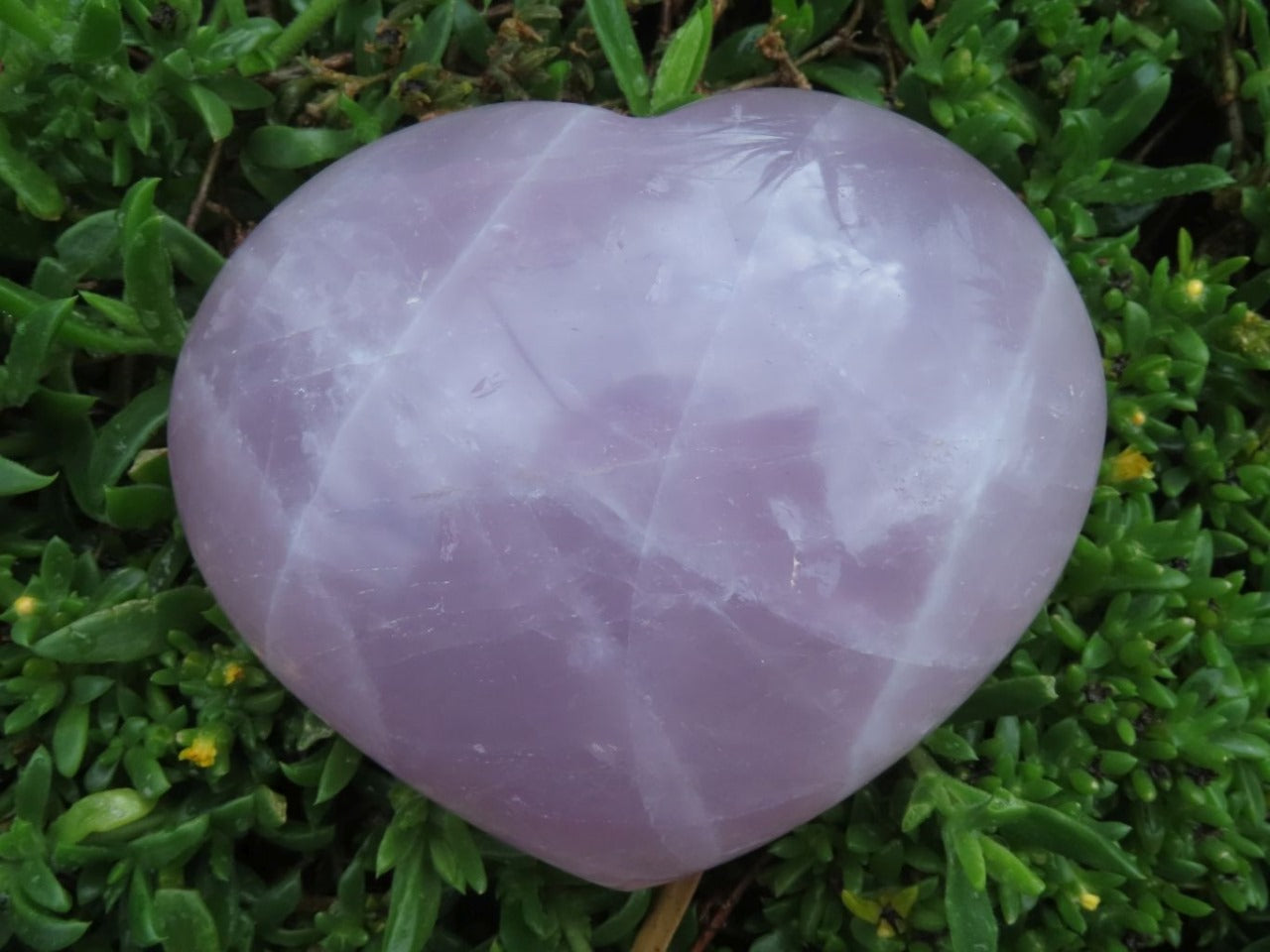 Polished Natural Rose Quartz Hearts