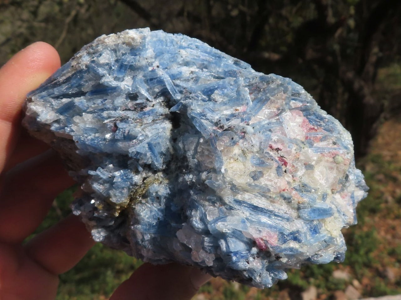 Raw Blue Kyanite