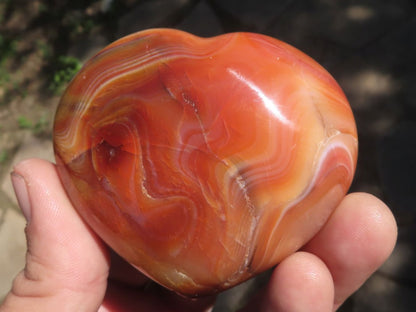 Gorgeous Polished Natural  Carnelian Agate Heart