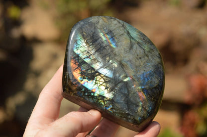 Polished Natural Labradorite Standing