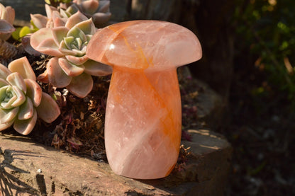 Polished Rose Quartz Mushroom Inclusions Golden Hematoid