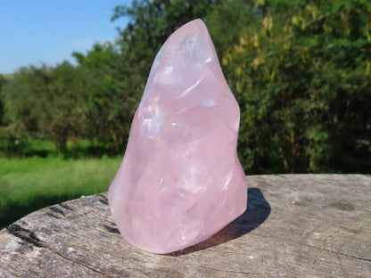 Stunning Polished Rose Quartz Flame