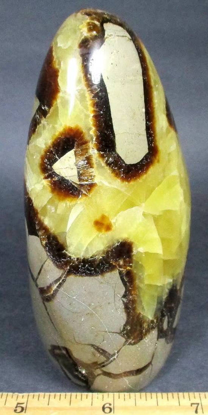 Polished Natural Septarian Freeform