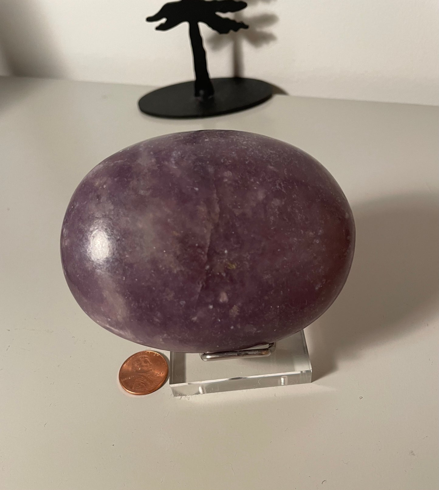 Polished Natural Gem Lepidolite Free Forms L