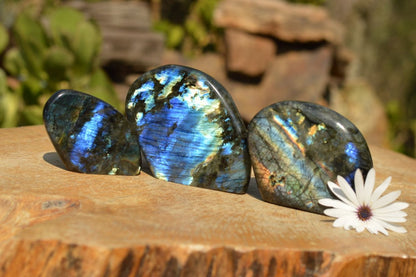 Polished Natural Labradorite Standing