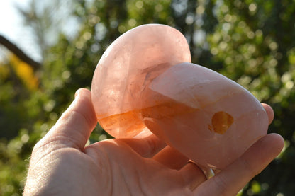 Polished Rose Quartz Mushroom Inclusions Golden Hematoid