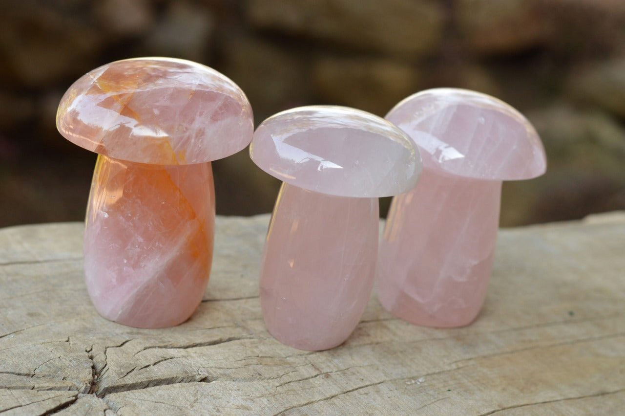 Polished Natural Rose Quartz Mushroom